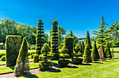 France,Perigord Noir,Dordogne,Jardins du Manoir d'Eyrignac (Historical Monument),Basse Cour des topiaires (plant nursery)