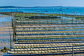 France,New Aquitaine,Arcachon Bay,Cap Ferret,oyster parks at low tide