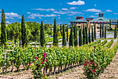 Spanien,Rioja,Briones mittelalterliches Dorf (Schönstes Dorf Spaniens),Museum der Weinkultur,Bodega Vivanco,(Jakobsweg)