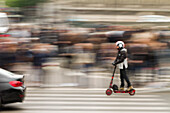 France,Paris,75,4th arrondissement,Quai de l'Hotel de ville,young man on a scooter