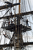France,Nantes,44,man climbing on the rigging of the Hermione,frigate of La Fayette,during the "Debord de Loire" 2019