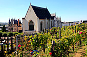 Frankreich,pays de la loire,Maine et Loire (49),Angers castle,the chapel