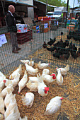 France,Bourgogne Franche Comte,Saone et Loire department (71),Louhans,fowl market