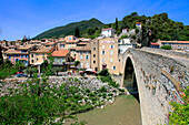 France,Auvergne Rhone Alpes,Drome department (26),Nyons,the old bridge