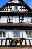 France,Grand-Est,Bas Rhin (67) Alsace,Hunspach