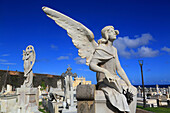 Usa,Puerto Rico,San Juan. Santa Maria Magdalena Friedhof.