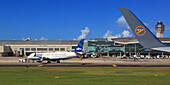 Usa,Porto Rico,San Juan. Luis Muñoz Marín International Airport. Jet blue aircraft