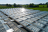 France,Hauts de France,greenhouse