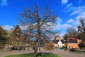 Deutschland,Baum mit Ostereiern geschmückt