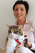 Cat with GPS collar connected to a location application