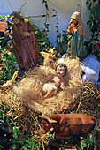 Christmas crib