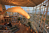 Sao Miguel Island,Azores,Portugal. Ponta Delgada. Whales statue en a mall