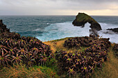 Insel Sao Miguel, Azoren, Portugal. Ponta Delgada. Sao Roque