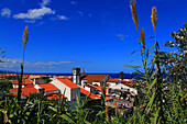 Insel Sao Miguel, Azoren, Portugal. Maia