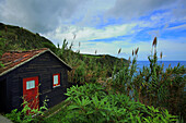 Insel Sao Miguel, Azoren, Portugal. Ponta do Arnel