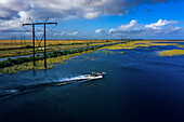 USA, Florida. Everglades. Luftkissenboot. Zypressen und Sumpf