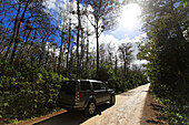 Usa,Florida. Everglades. Loop Road