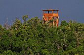 Usa,Florida. Everglades Stadt