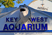 USA, Florida. Key West. Aquarium