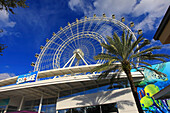 Usa,Floride,Orlando. big Wheel. Icon Park