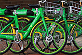 Usa,Floride,Orlando. Lime Elektrische Fahrräder