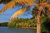 Frankreich,Französische Antillen,Guadeloupe. Morne a l'eau. Babin-Bucht