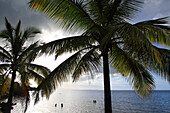 France,French Antilles,Guadeloupe. Morne a l'eau. Babin bay