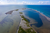 Europe,Scandinavia,Sweden. Skania.  Falsterbo peninsula. Maklaeppen natural reserve