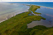 Europa,Skandinavien,Schweden. Schonen.  Halbinsel Falsterbo. Maklaeppen Naturschutzgebiet