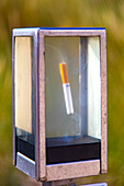 Cigarette butt in a transparent case