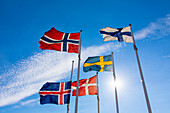 Flaggen der Länder Skandinaviens: Schweden, Dänemark, Norwegen, Island und Finnland
