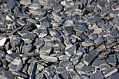 Pieces of slate on the ground to decorate and prevent vegetation from growing.