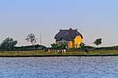 Europe,Germany. Schleswig-Holstein. Heiligenhafen. Graswarder