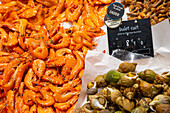 Shrimps and whelks at the fishmonger's