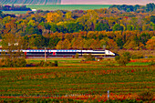 OUI TGV in the Champagne vineyards near Reims