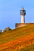 France,Grand-Est,Marne,Verzenay. Verzenay lighthouse. Reims montain