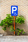 Disabled parking space