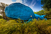 Großer Blauwal in einem Freizeitpark