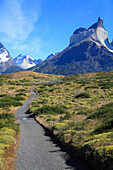 Chile,Magallanes,Torres del Paine,Nationalpark,Aleta de Tiburon,Cuernos del Paine,Wanderweg,