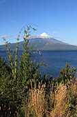 Chile,Seenplatte,Llanquihue-See,Vulkan Osorno,