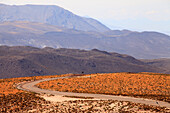 Chile,Antofagasta Region,Atacama Wüste,Biegung Straße,