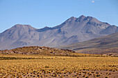 Chile,Antofagasta Region,Atacama Wüste,Anden,Landschaft; Szenerie; San Pedro de Atacama; Reisen; Südamerika; horizontal,