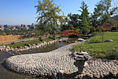 Chile,Santiago,Japanese Garden,