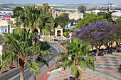 Spain,Andalusia,Jerez de la Frontera,street scene,trees,aerial view