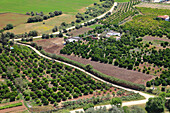 Spain,Andalusia,Arcos de la Frontera,orchards,aerial view