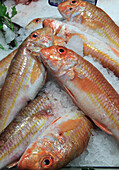 Spanien,Andalusien,Cádiz,Markt,Fisch
