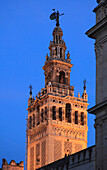 Spanien,Andalusien,Sevilla,Kathedrale,Giralda,Turm