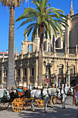 Spain,Andalusia,Seville,Cathedral,Plaza de Triunfo,horse carriages