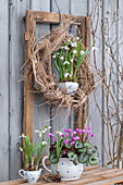 Schneeglöckchen (Galanthus) in altem Milchkännchen, Strohkranz, Alpenveilchen (Cyclamen) in alter Teekanne eingepflanzt auf Gartentisch