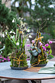 Schneeglöckchen (Galanthus) und Alpenveilchen (Cyclamen) dekoriert mit Zweigen und Moos als Gesteck in Kuchenform